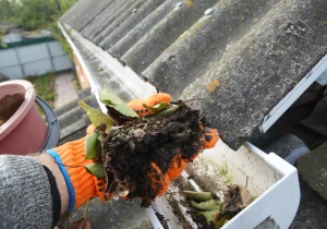 How Blocked Gutters Can Lead To Costly Property Damage